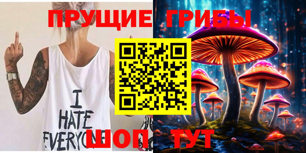 Волхов  магазин  наркотиков  Вход с VPN  Галлюциногенные грибы прущие грибы  Псилоцибиновые грибы Magic Shrooms 